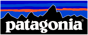 patagonia business grants 