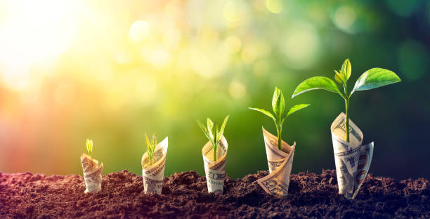 Business Growth